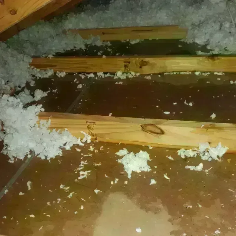 Attic Water Damage in Avenal, CA